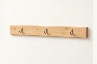 The Welcome In Coat Rail project visualization